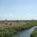 Du Mont Saint Michel *