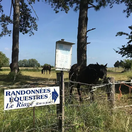 Du Mont Saint Michel