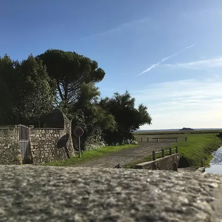 Du Mont Saint Michel Genêts