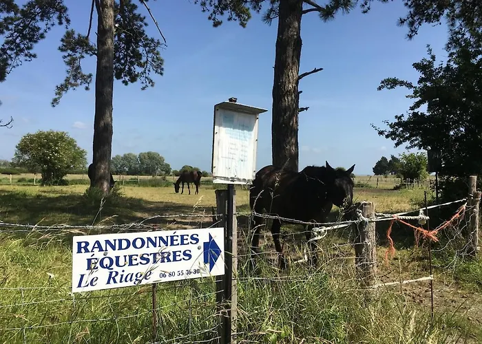 Du Mont Saint Michel