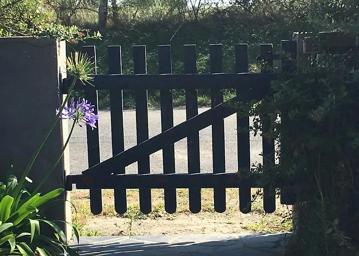 Du Mont Saint Michel Genêts